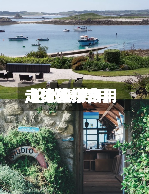 【伦敦锡费用,伦敦锡费用走势图东方】