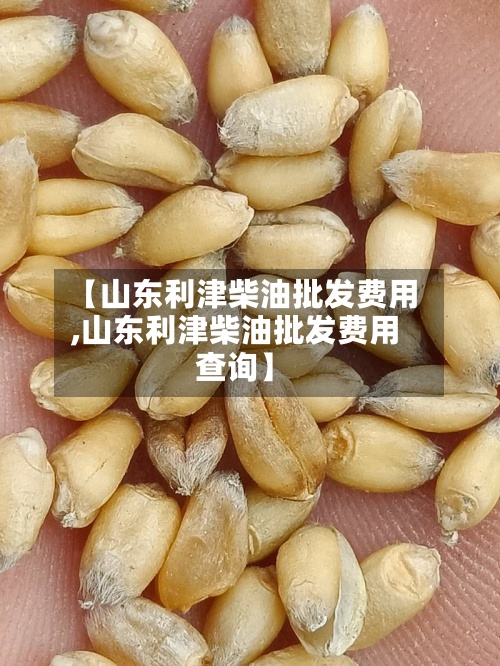 【山东利津柴油批发费用,山东利津柴油批发费用查询】-第3张图片