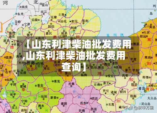 【山东利津柴油批发费用,山东利津柴油批发费用查询】-第2张图片
