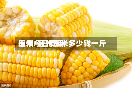 玉米今日费用宿州/宿州玉米多少钱一斤