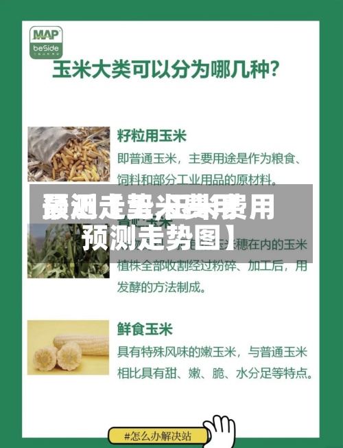 最近【玉米费用预测走势,玉米费用预测走势图】