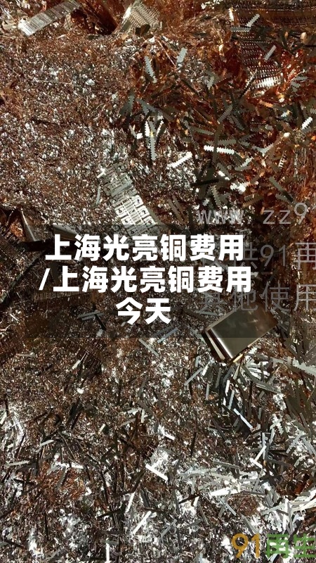 上海光亮铜费用/上海光亮铜费用今天