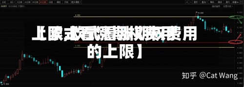 【欧式看涨期权费用上限,欧式看涨期权费用的上限】