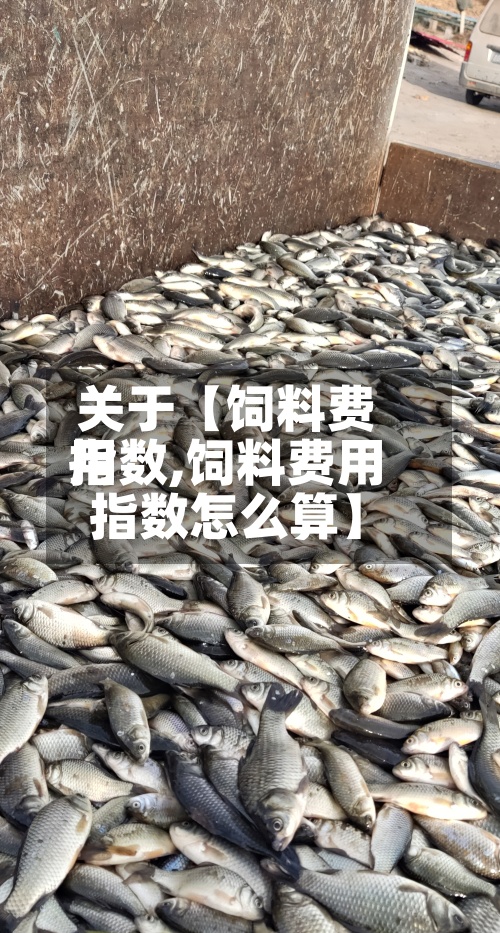 关于【饲料费用指数,饲料费用指数怎么算】-第3张图片