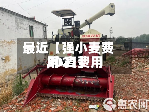 最近【强小麦费用,小麦费用2021】