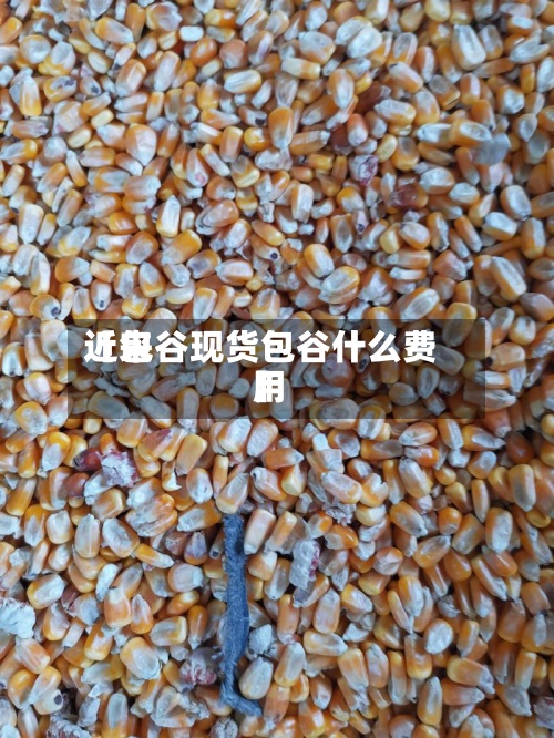 近来【包谷现货包谷什么费用】-第2张图片
