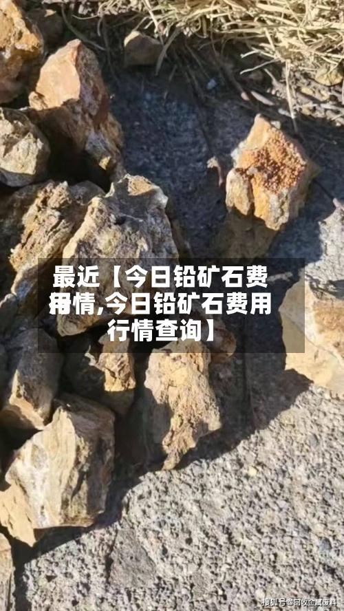 最近【今日铅矿石费用行情,今日铅矿石费用行情查询】-第2张图片