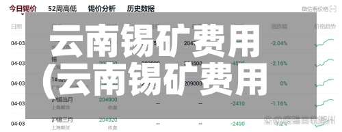 云南锡矿费用(云南锡矿费用 今日锡价)-第3张图片