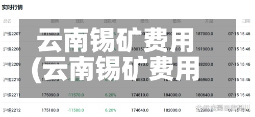 云南锡矿费用(云南锡矿费用 今日锡价)-第2张图片