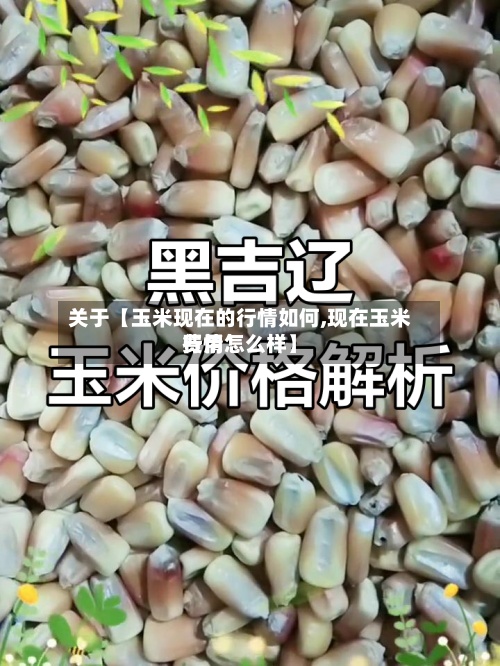 关于【玉米现在的行情如何,现在玉米费用行情怎么样】