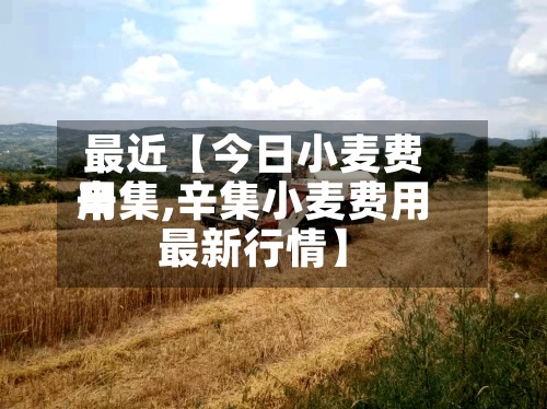 最近【今日小麦费用辛集,辛集小麦费用最新行情】-第2张图片