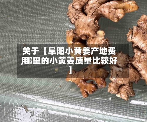 关于【阜阳小黄姜产地费用,哪里的小黄姜质量比较好】-第3张图片