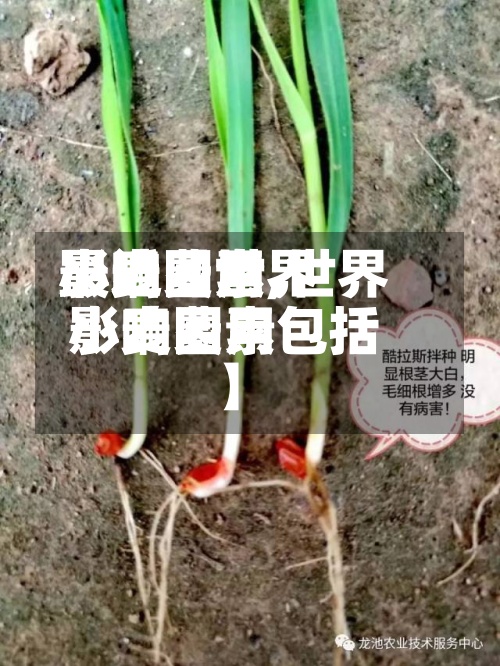 最近【世界小麦费用影响因素,世界小麦费用影响因素包括】