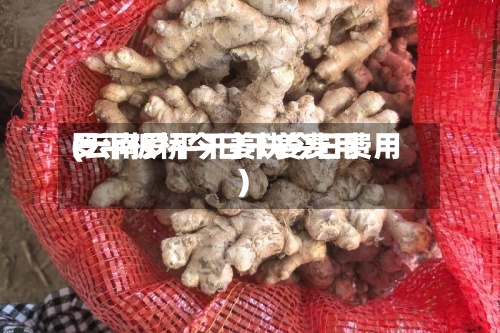 罗平板桥今日干姜费用(云南罗平干姜块今日费用)