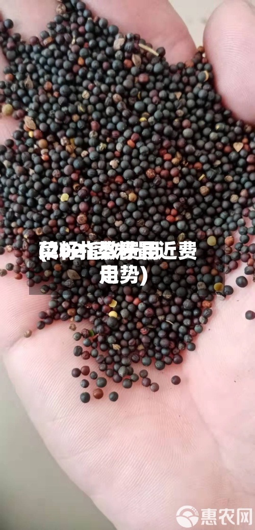 菜籽指数费用(2021菜籽最近费用走势)-第2张图片