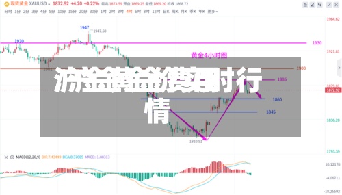 沪金黄金费用/沪金金价实时行情