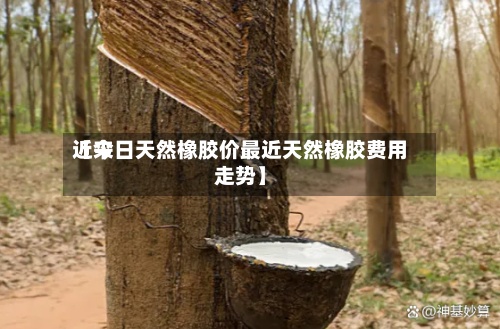 近来【今日天然橡胶价最近天然橡胶费用走势】-第3张图片