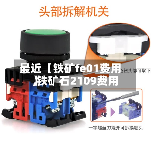 最近【铁矿fe01费用,铁矿石2109费用】-第2张图片