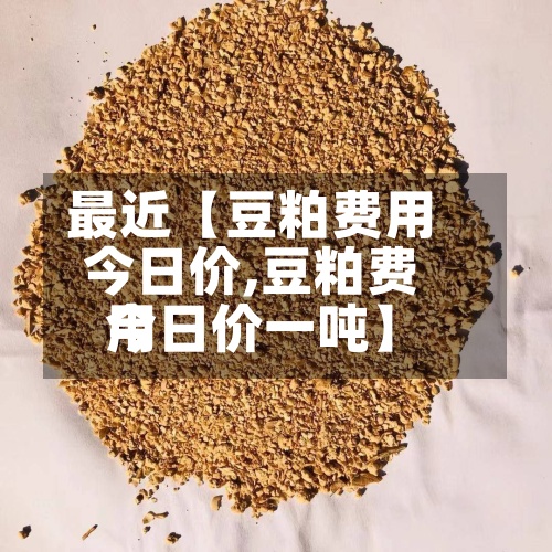 最近【豆粕费用今日价,豆粕费用今日价一吨】