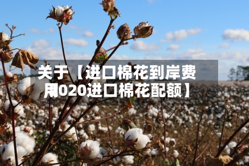 关于【进口棉花到岸费用,2020进口棉花配额】