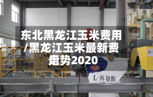 东北黑龙江玉米费用/黑龙江玉米最新费用走势2020-第3张图片