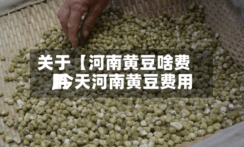 关于【河南黄豆啥费用,今天河南黄豆费用】-第2张图片