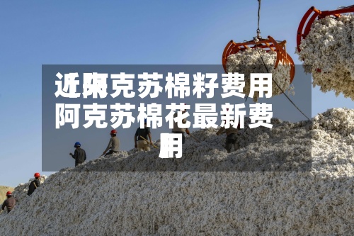 近来【阿克苏棉籽费用阿克苏棉花最新费用】