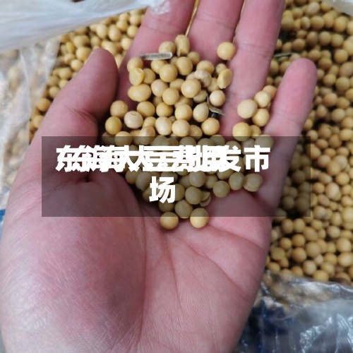 东海大豆费用/东海大豆批发市场-第3张图片