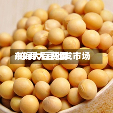 东海大豆费用/东海大豆批发市场