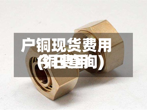 户铜现货费用(铜费用今日查询)