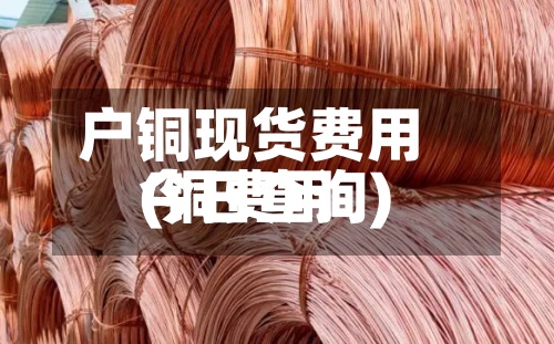 户铜现货费用(铜费用今日查询)-第2张图片