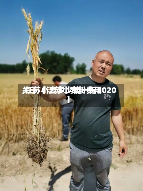 关于【江苏小麦粉费用,江苏小麦多少钱一斤2020】