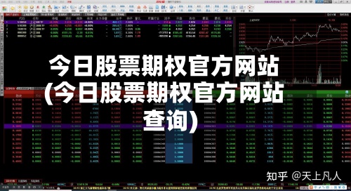 今日股票期权官方网站(今日股票期权官方网站查询)-第2张图片