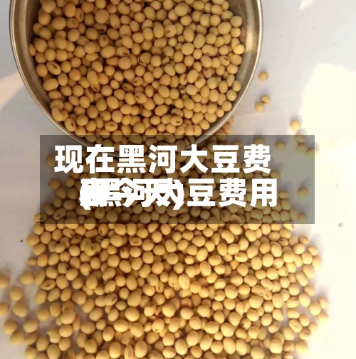 现在黑河大豆费用(黑河大豆费用表今天)-第2张图片