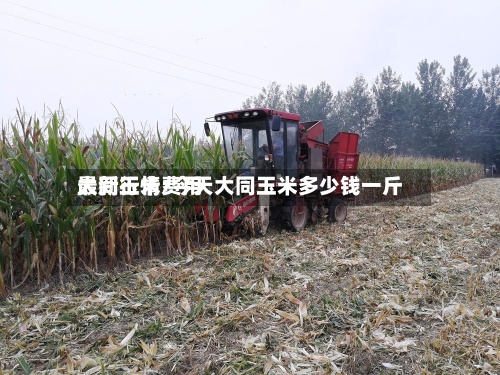 大同玉米费用最新行情/今天大同玉米多少钱一斤-第3张图片