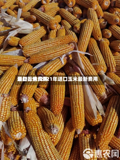 进口玉米费用最新行情/2021年进口玉米最新费用-第3张图片
