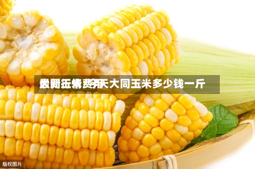 大同玉米费用最新行情/今天大同玉米多少钱一斤-第2张图片