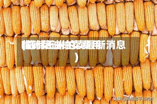 临储菜油拍卖费用
(临储玉米拍卖最新消息)-第2张图片