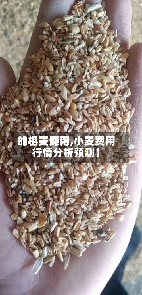 【小麦费用的相关评论,小麦费用行情分析预测】-第2张图片