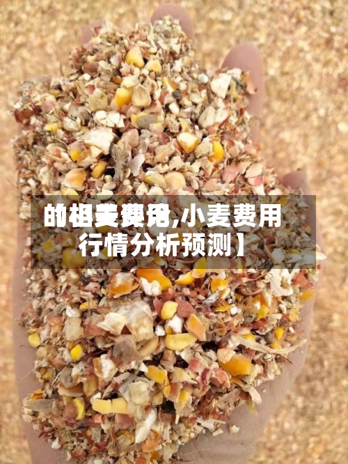 【小麦费用的相关评论,小麦费用行情分析预测】-第3张图片