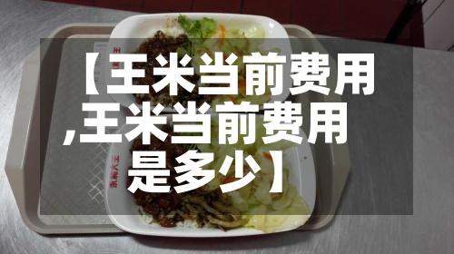 【王米当前费用,王米当前费用是多少】-第3张图片