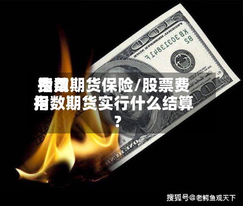 费用指数期货保险/股票费用指数期货实行什么结算?-第3张图片