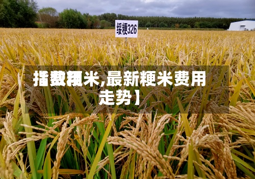 【费用
指数粳米,最新粳米费用
走势】-第2张图片
