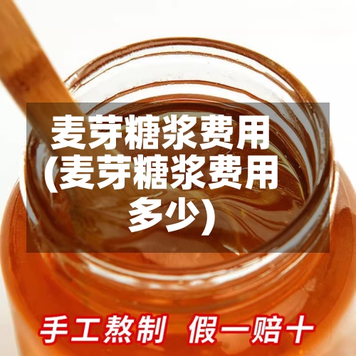 麦芽糖浆费用(麦芽糖浆费用多少)-第2张图片