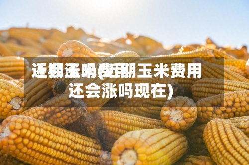 近期玉米费用还会涨吗(近期玉米费用还会涨吗现在)-第3张图片