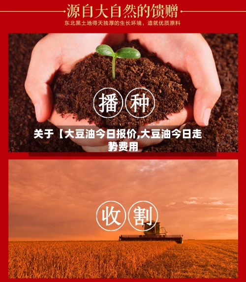 关于【大豆油今日报价,大豆油今日走势费用】