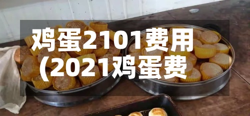鸡蛋2101费用(2021鸡蛋费用行情)-第2张图片