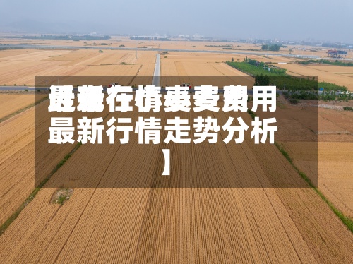 近来【现在小麦费用最新行情小麦费用最新行情走势分析】-第3张图片