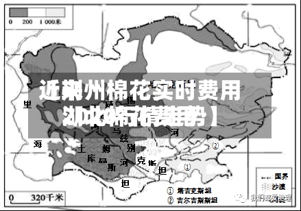 近来【荆州棉花实时费用湖北棉花费用2020行情走势】