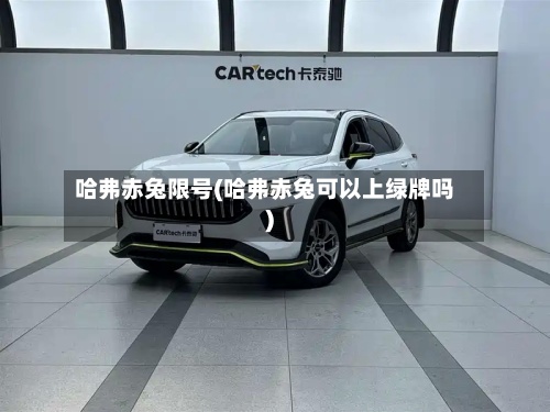 哈弗赤兔限号(哈弗赤兔可以上绿牌吗)-第3张图片